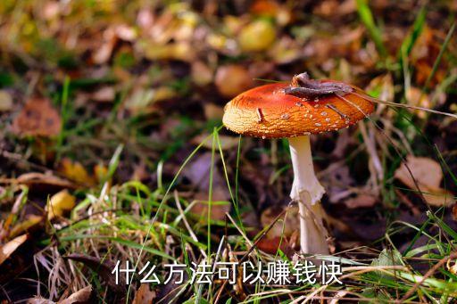 有什么掙錢快的方法嗎，如何快速掙錢