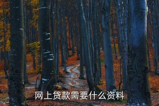 網(wǎng)上貸款需要什么嗎，網(wǎng)上貸款需要什么資料