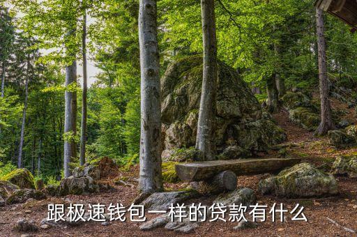 跟極速錢包一樣的貸款有什么
