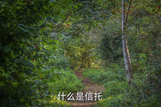 信托機(jī)構(gòu)是什么意思，信托公司是什么意思房地產(chǎn)信托是什么
