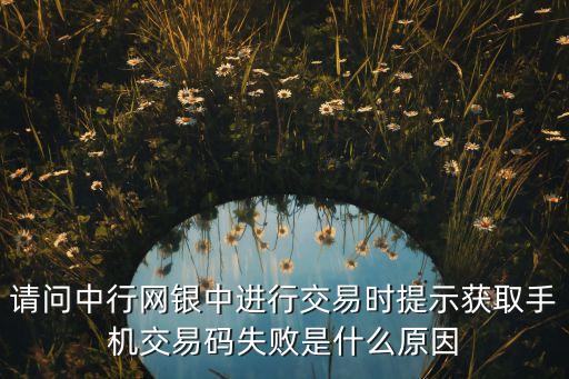 請問中行網(wǎng)銀中進(jìn)行交易時(shí)提示獲取手機(jī)交易碼失敗是什么原因