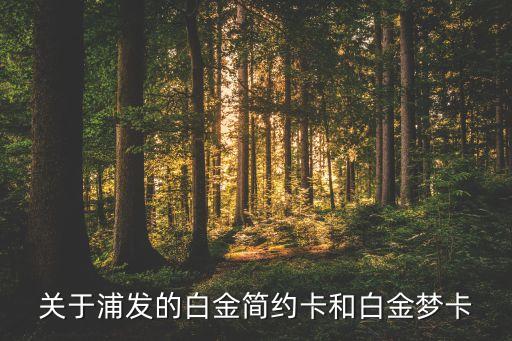 浦發(fā)夢(mèng)白金有什么權(quán)益，浦發(fā)銀聯(lián)白金夢(mèng)卡額度是多少有年費(fèi)嗎