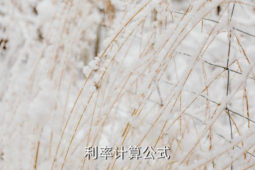 利率計算公式