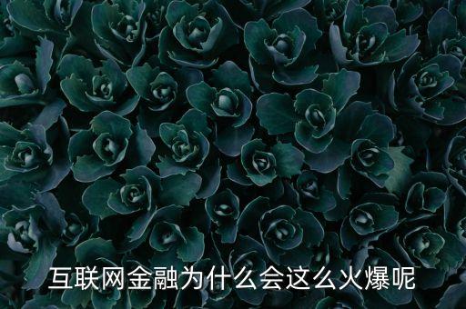 互聯(lián)網(wǎng)金融為什么會(huì)這么火爆呢
