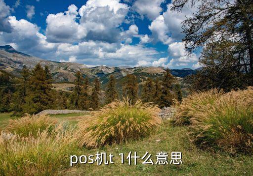 樂富通t 1是什么意思，樂富通結(jié)算方式是T 1是什么意思