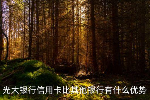 光大銀行信用卡比其他銀行有什么優(yōu)勢(shì)