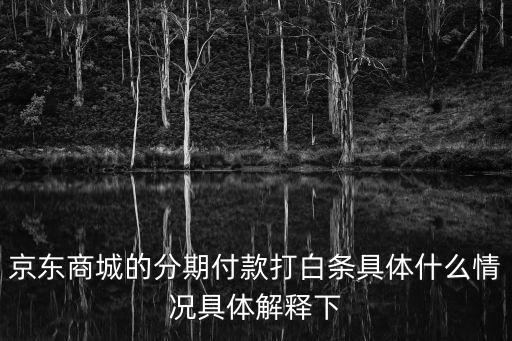 京東商城的分期付款打白條具體什么情況具體解釋下