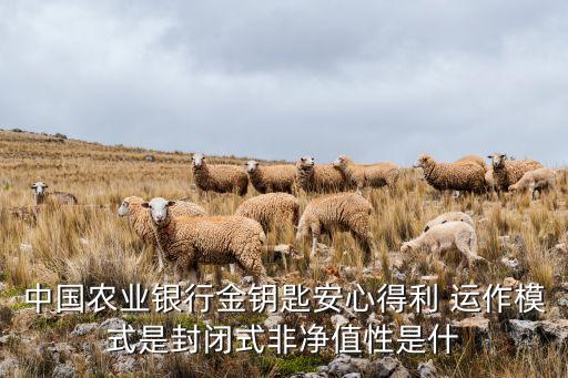中國(guó)農(nóng)業(yè)銀行金鑰匙安心得利 運(yùn)作模式是封閉式非凈值性是什
