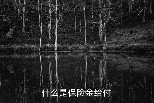 什么是保險(xiǎn)金給付