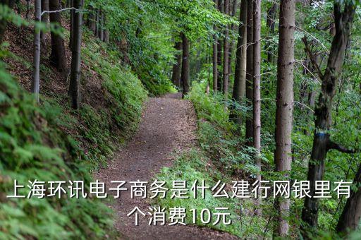 上海環(huán)訊電子商務(wù)是什么建行網(wǎng)銀里有個(gè)消費(fèi)10元
