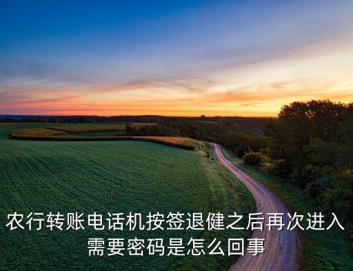 農(nóng)行轉賬電話機按簽退健之后再次進入需要密碼是怎么回事