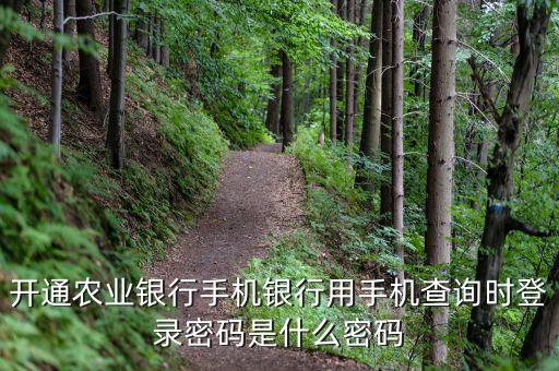 開通農(nóng)業(yè)銀行手機銀行用手機查詢時登錄密碼是什么密碼