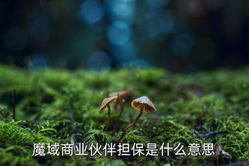 商業(yè)擔(dān)保是什么意思，第三方商業(yè)擔(dān)保什么意思