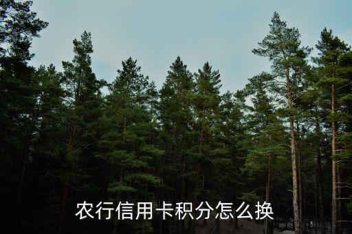 農(nóng)行信用卡積分換什么條件，農(nóng)行信用卡積分怎么換