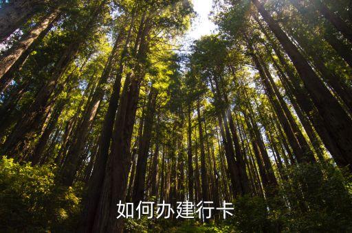 建行怎么辦理，如何辦建行卡