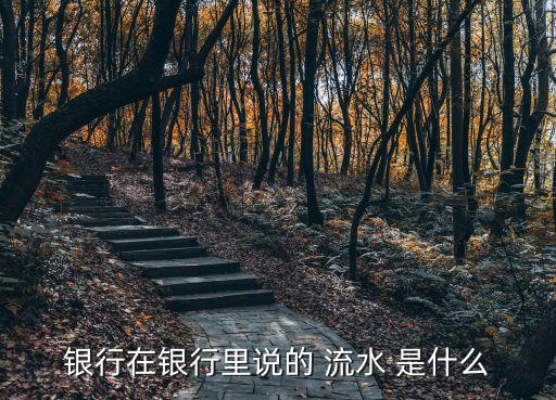 流水指的是什么，財務(wù)中流水指的什么
