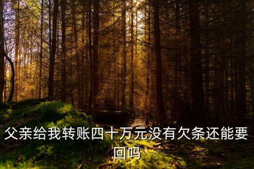 轉(zhuǎn)賬40萬怎么處理，從總公司轉(zhuǎn)了40萬現(xiàn)金記賬憑證怎么做啊
