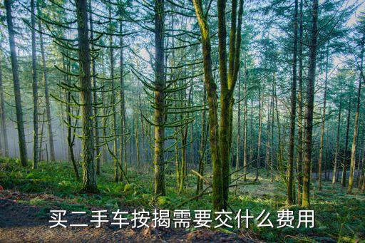 買二手車按揭需要交什么費用