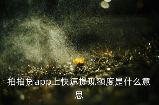 拍拍貸app上快速提現(xiàn)額度是什么意思