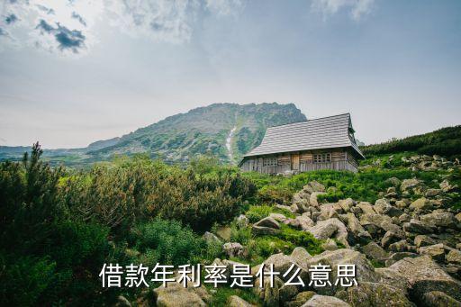年利率是什么意思，年利率是什么意思