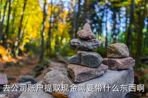 去公司賬戶提取現(xiàn)金需要帶什么東西啊