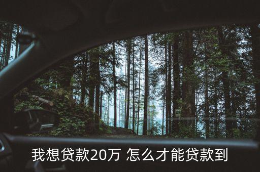 想借20萬(wàn)怎么辦，我想貸款20萬(wàn) 怎么才能貸款到