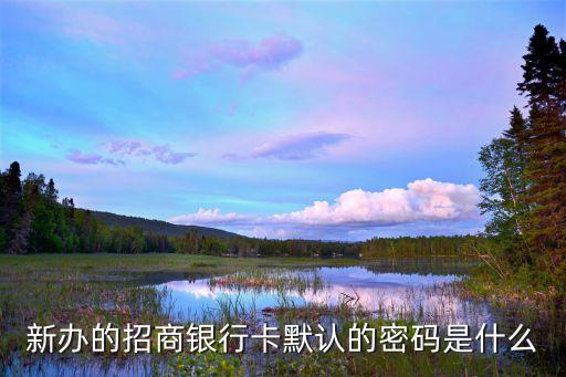 新辦的招商銀行卡默認的密碼是什么