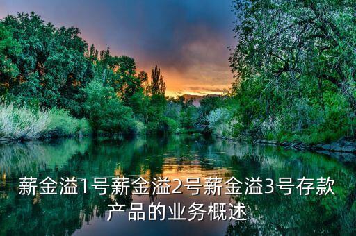 工商銀行的薪金溢1號是什么意思，什么是工行薪金溢1號協(xié)議