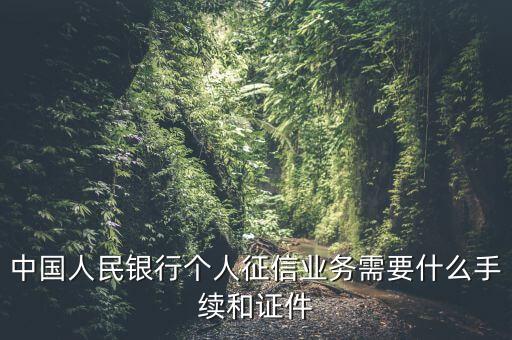 中國(guó)人民銀行個(gè)人征信業(yè)務(wù)需要什么手續(xù)和證件