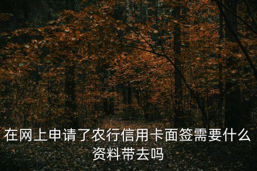 在網(wǎng)上申請(qǐng)了農(nóng)行信用卡面簽需要什么資料帶去嗎