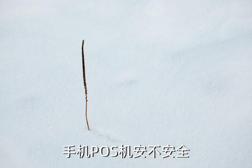 什么樣的pos機不安全，pos機那種安全