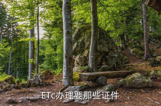辦理etc卡需要什么，Etc辦理需要帶什么