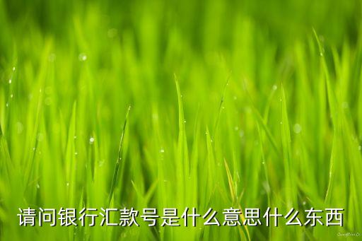 請問銀行匯款號是什么意思什么東西