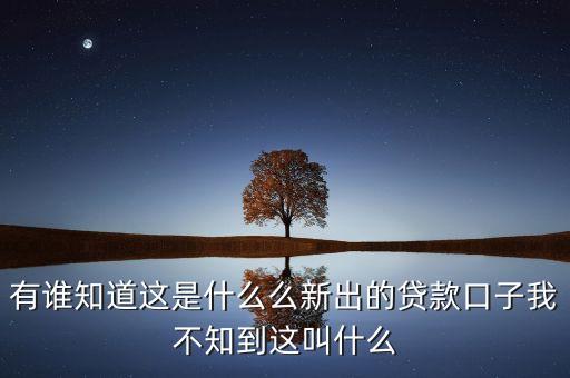 有誰知道這是什么么新出的貸款口子我不知到這叫什么