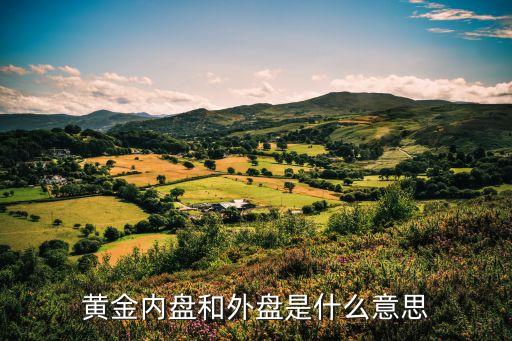 現(xiàn)貨黃金外盤(pán)是什么意思，現(xiàn)貨黃金中外盤(pán)和內(nèi)盤(pán)是什么意思