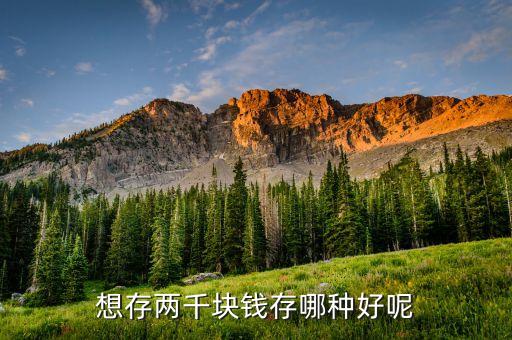 什么錢可以存，想存兩千塊錢存哪種好呢