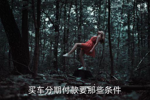 買車分期付款要那些條件