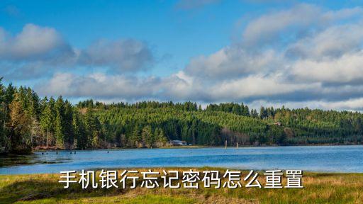 怎樣重置手機(jī)銀行密碼是什么原因，怎樣重置手機(jī)銀行登陸密碼