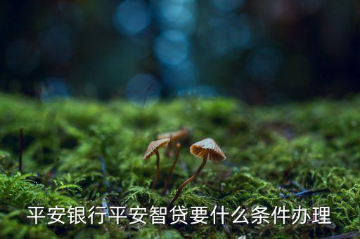 平安銀行平安智貸要什么條件辦理