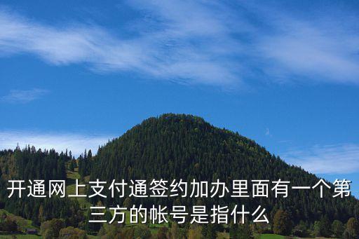 開通網(wǎng)上支付通簽約加辦里面有一個(gè)第三方的帳號(hào)是指什么