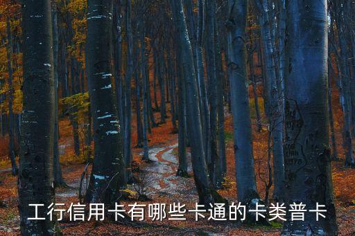 工行信用卡有哪些卡通的卡類普卡