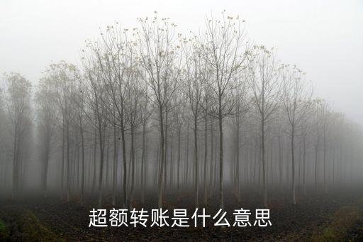 超額是什么意思，超額是什么意思