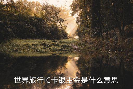 世界旅行ic卡金是什么意思，世界旅行IC卡銀主金是什么意思