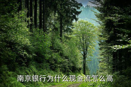 南京銀行為什么現(xiàn)金流怎么高