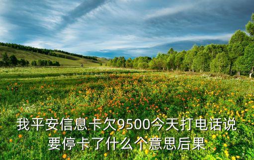 我平安信息卡欠9500今天打電話說要停卡了什么個意思后果