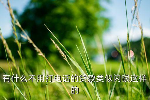 有什么不打電話的貸款，有什么不用打電話的貸款類似閃銀這樣的
