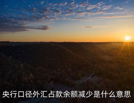 什么是口徑外匯，什么是央行口徑外匯占款