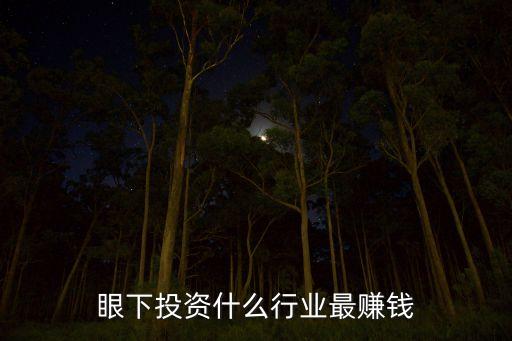 眼下投資什么行業(yè)最賺錢