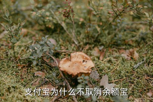 余額寶為什么不能關(guān)閉，支付寶余額寶支付怎么關(guān)閉