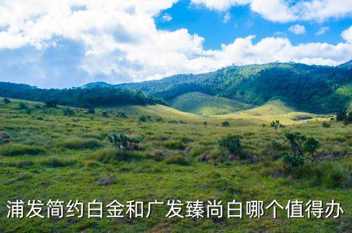 什么值得買浦發(fā)白金，浦發(fā)白金卡有什么優(yōu)惠